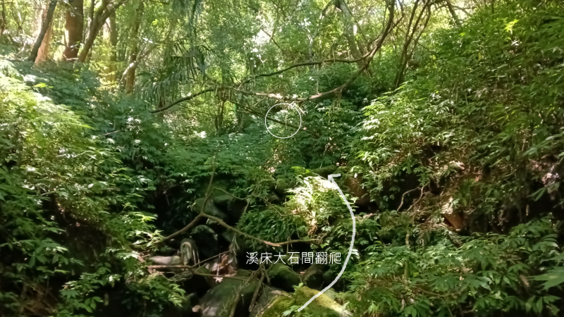 a07c1be5303147cccd69c3ee59e96af6.png