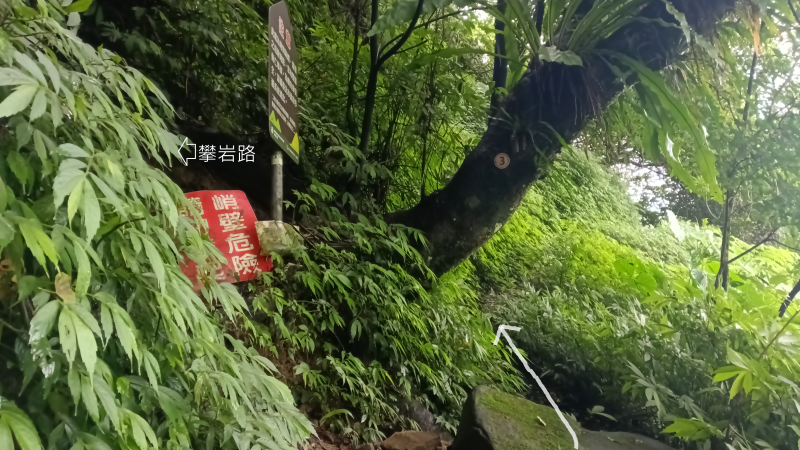 a0d1c578992a70cbf717991187786019.png
