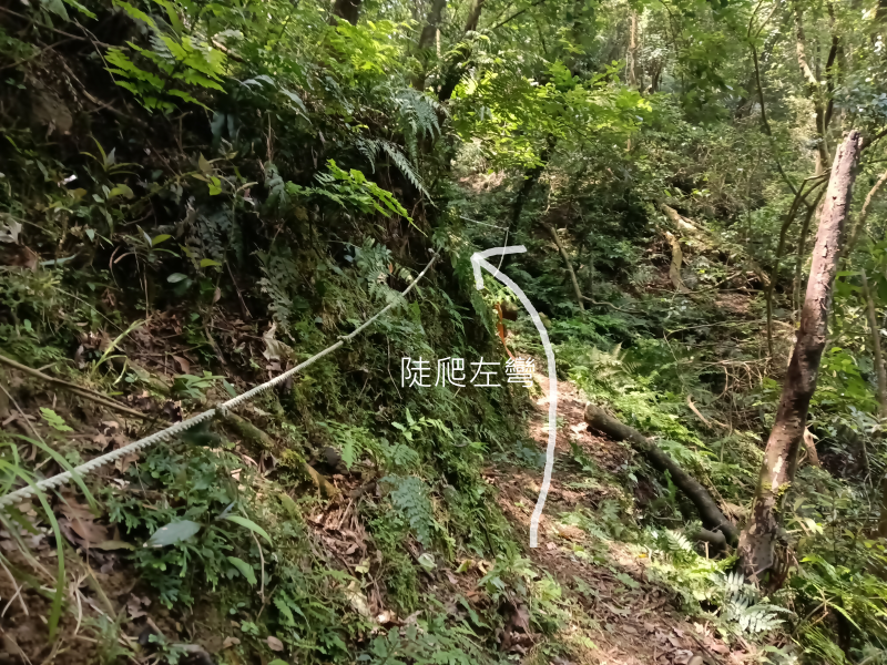 a1391af423c90d34bcc7ac6dcd342be2.png