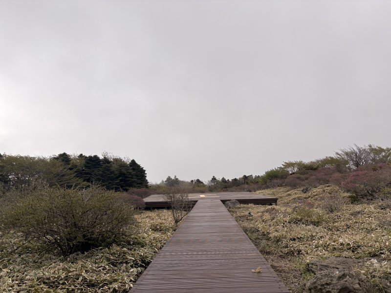 a15ed87069b46c74c32c8f732047f030.jpg