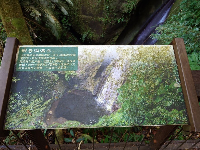 a15f2bfa7b52034427032eb47c2f12d8.jpg