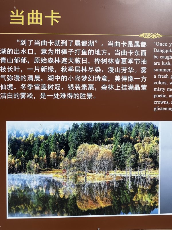 a1a5c954423a757d230b3a2fae621e48.jpg