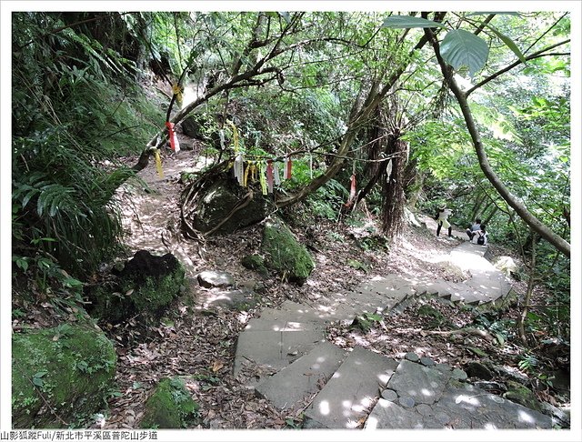 普陀山 (5).JPG - 普陀山步道