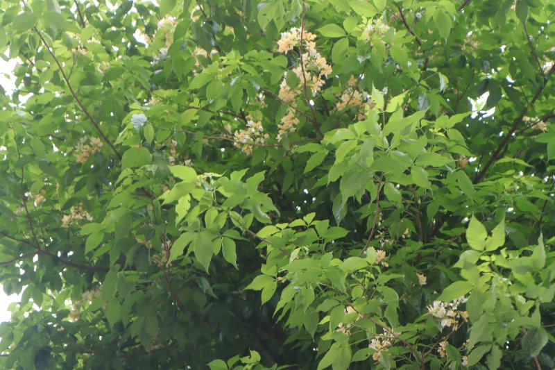 a201fe51ab07a5db98ae4c213369e397.jpg