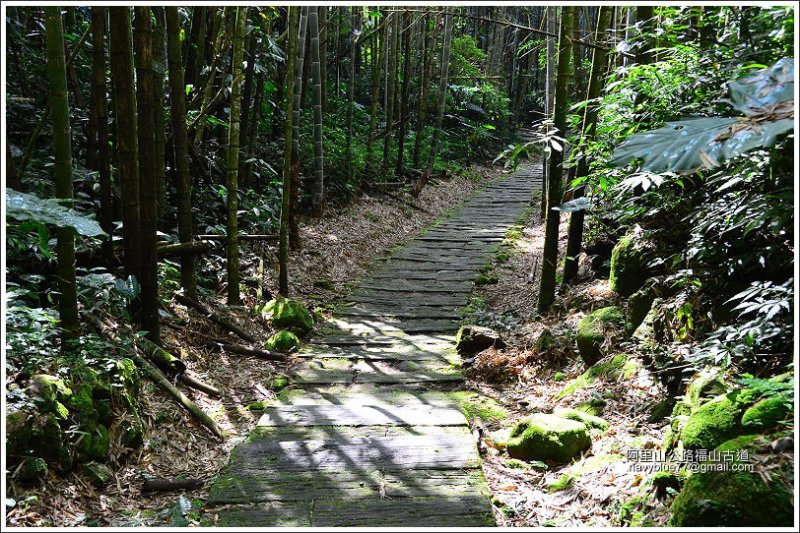 迷糊步道-福山古道