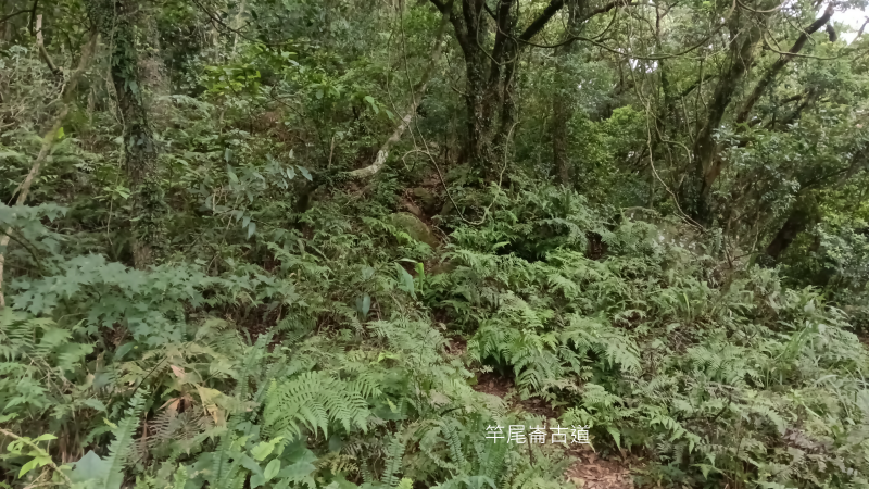 a28733dcc0d1c60ca38c8b1f0215ac15.png