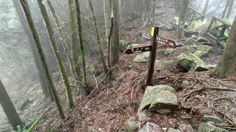 沙蓮山橫嶺山 (88).jpg