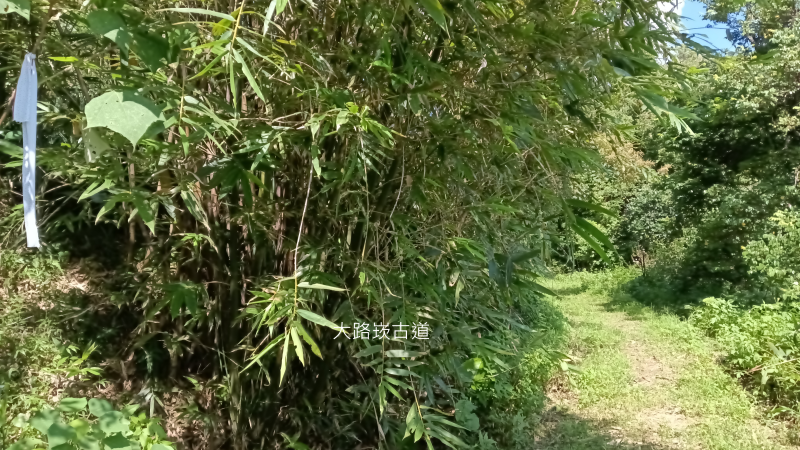 a29a82118538e60806396d788981ec68.png