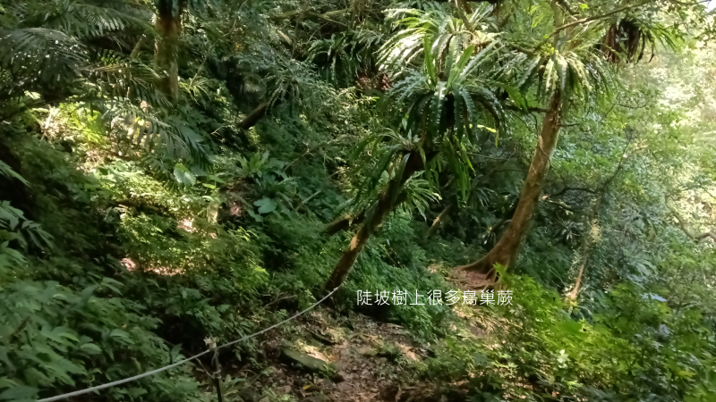 a2a63c727e636c6535fc29c4ee226818.png