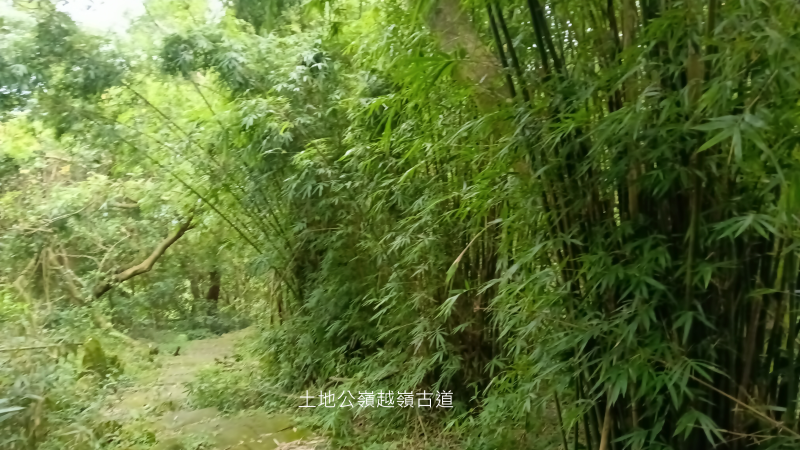 a2f023cc6b57a82457e71d582e89d63b.png