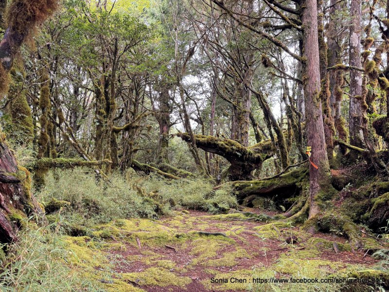 a3026c23dceadecc0bd269c8d8176c62.jpg