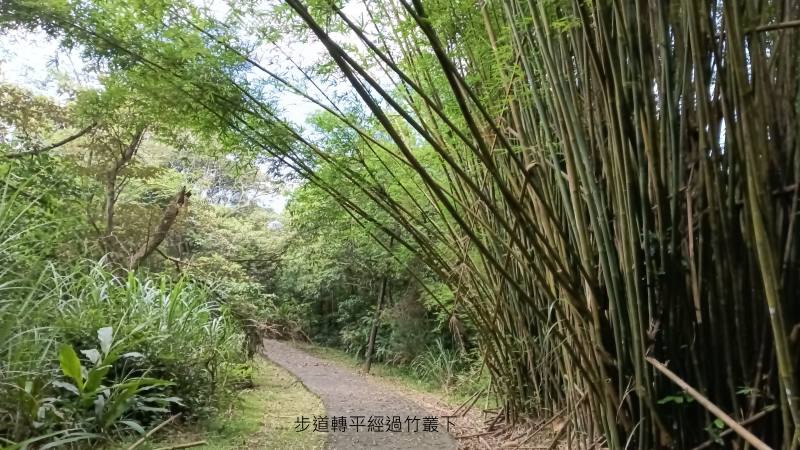 a34a0ca128ebc4eeddc4372a0d75515b.png