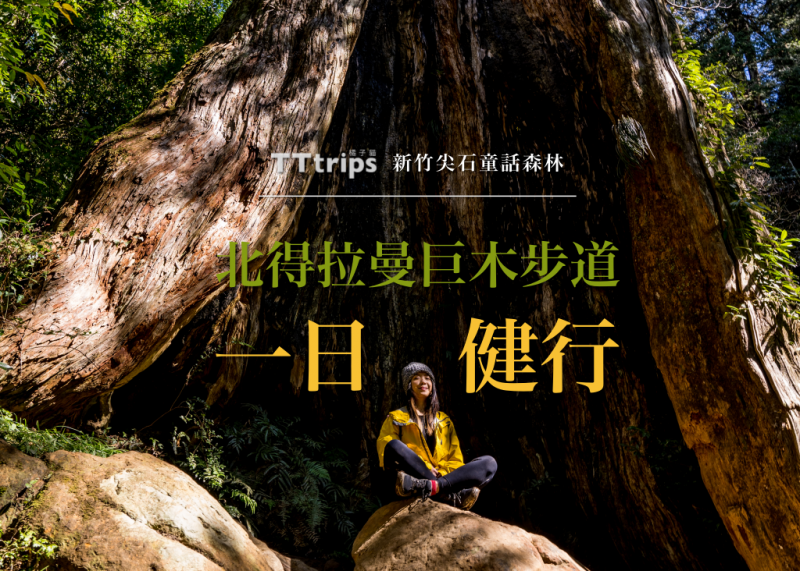 新竹尖石童話森林|北得拉曼巨木步道一日健行