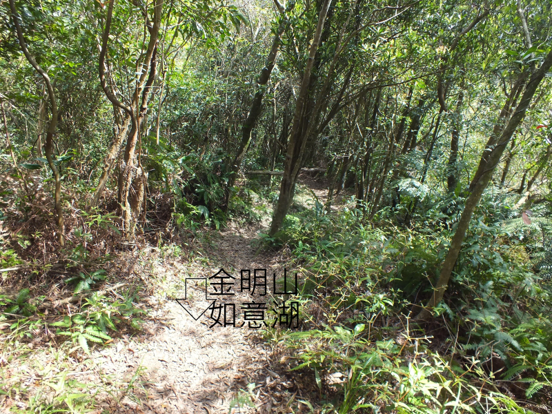 a35e23198bf5d726125625bba9623a82.jpg