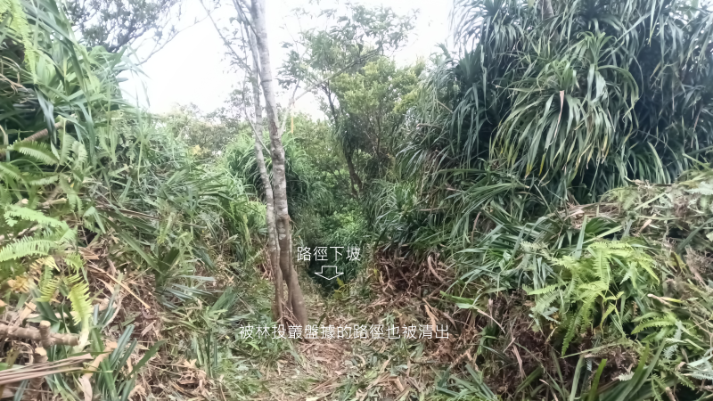 a364957e3dda58912f3485c8e461d933.png