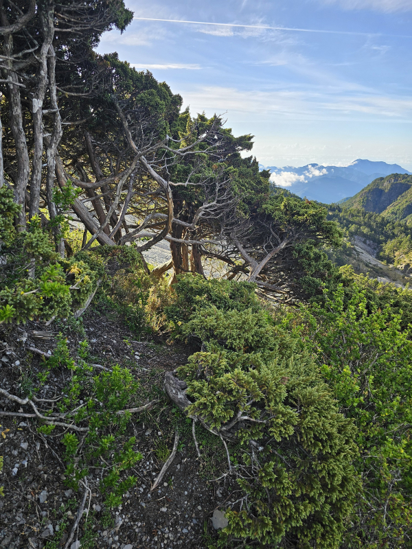 a3c3e3ef934eab3450815f6f49c4a77c.jpg