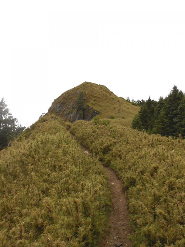 DSCN4667.JPG - 台中和平武陵四秀之二秀(DAY-2 桃山、詩崙山、喀拉業山)