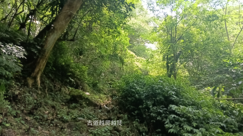 a4453d417367afe72b6f4fba098f7f7d.png