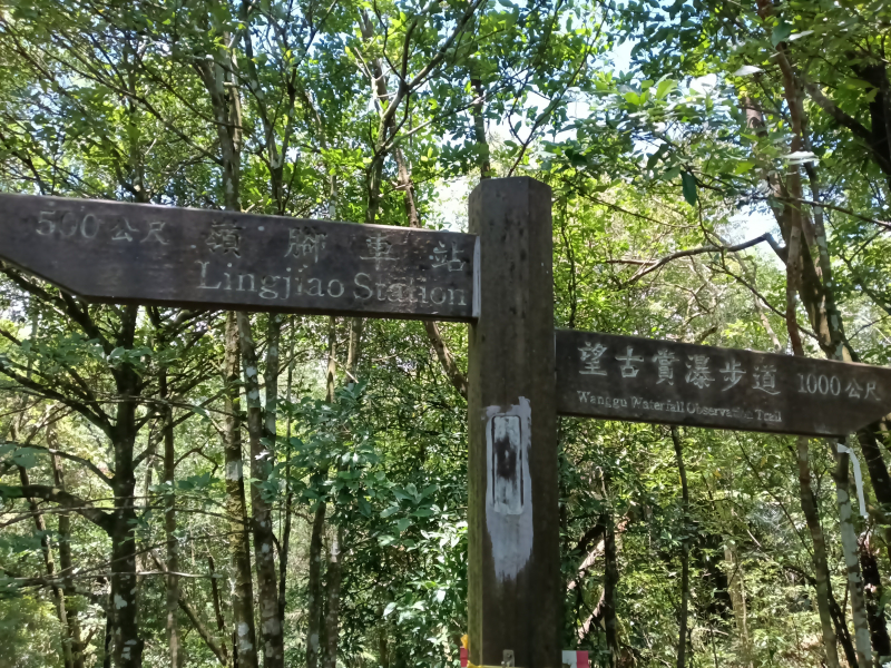 a48f94c8251bf3024e482201b25e276a.jpg