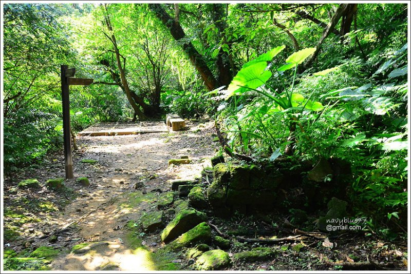 柴寮古道-三貂嶺步道 (23).JPG