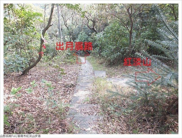 紅淡山步道 (133).JPG - 紅淡山步道