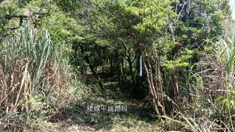 a55977a0cf356f0e795c9d6dd564a6ee.png