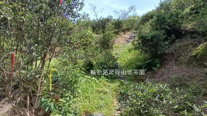 a576c330db2b5e02bf2c95b37db21a72.png