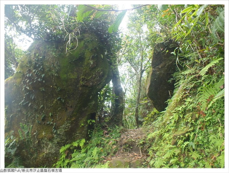 盤石嶺古道 (16).JPG - 盤石嶺古道