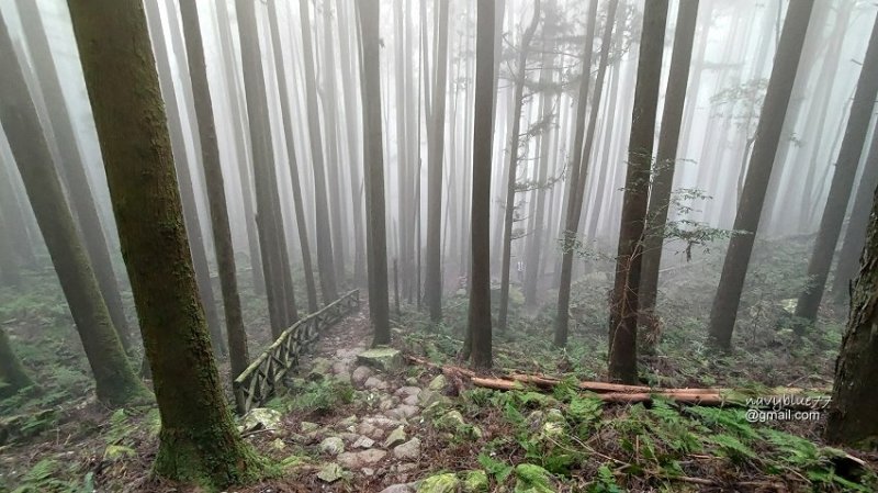 沙蓮山橫嶺山 (89).jpg