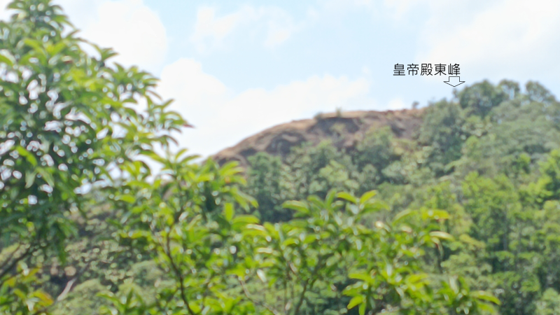 a5db94e4dbc28281a5342a0e56a6e386.png