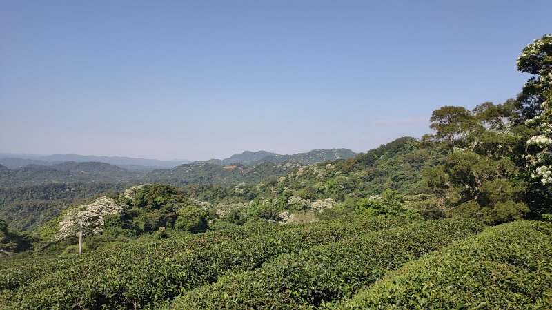 a6157fd2ea15c0b836c264018c748c86.jpg