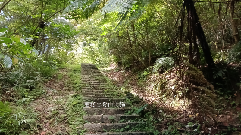a62b5b0b996a54efea793475ea9359be.png