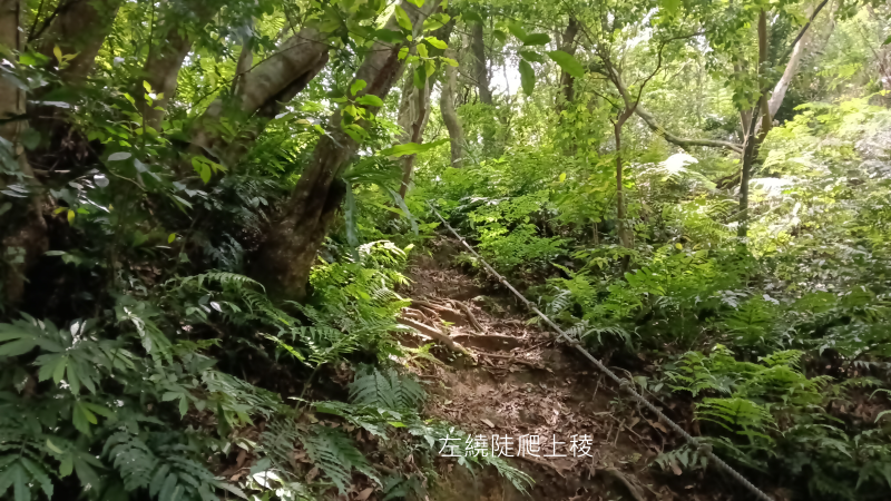a631b035ac77bc5de349b9509fa7be87.png