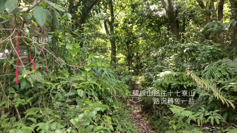 a639046b4a623930241932f0a9d8a61a.png