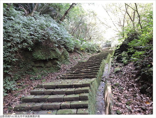 藥園步道 (16).JPG - 藥園步道