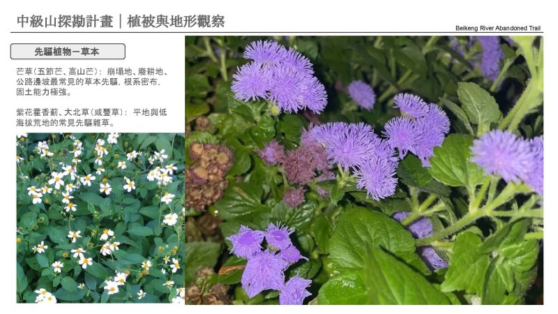 a68df38c35785fd98abbab572515655a.jpg