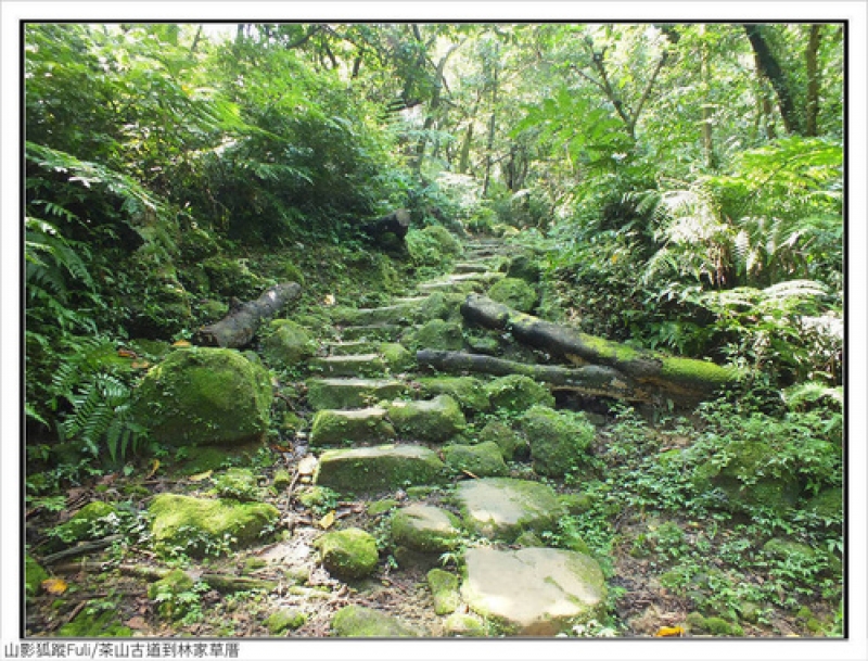 林家草厝 (27).jpg - 林家草厝