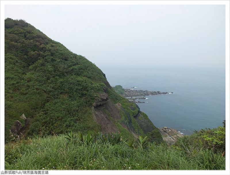 海園古道 (41).JPG - 海園古道蝶影翩翩