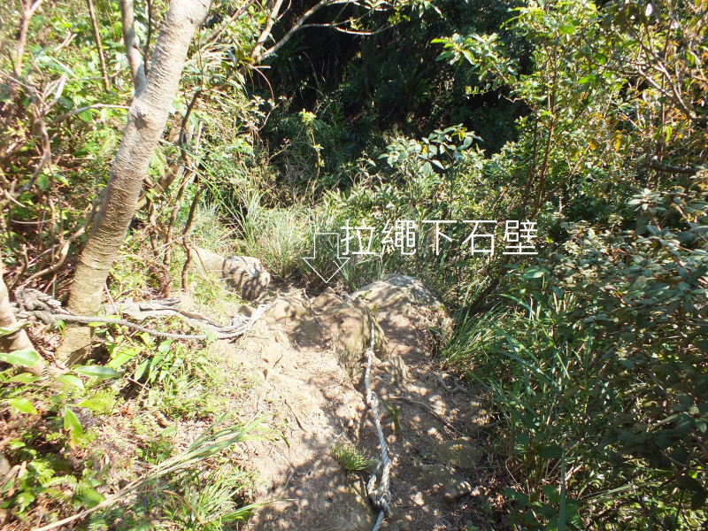 a6d336aa95788ddc315e1f8d0da1bfad.jpg