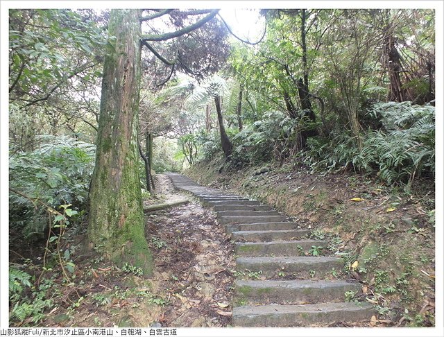 姜子寮山步道 (9).JPG - 姜子寮山步道櫻花