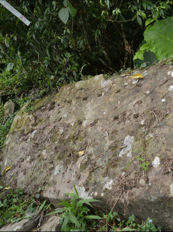 a73671b75bd5c68a807537e8961c35e7.jpg