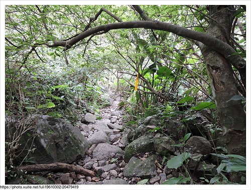 雷霆峰 (74).JPG - 雷霆峰