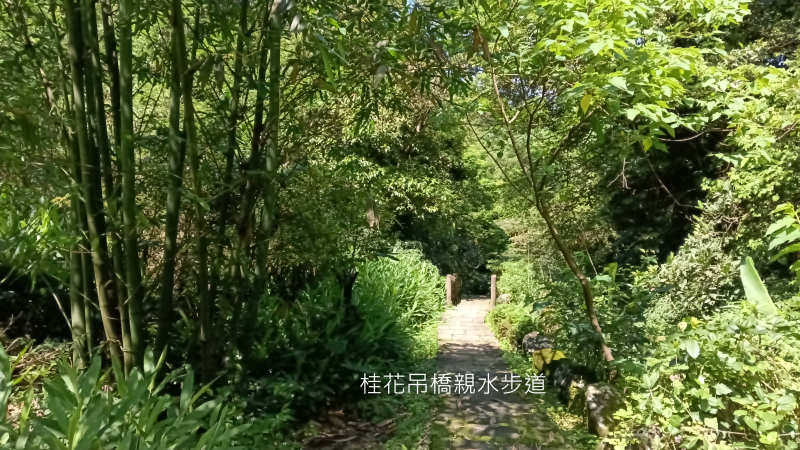 a80731aa1be8ab197b1752df2030915a.png