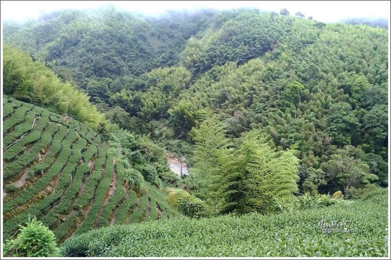 石壁木馬古道-五元二角-雲嶺之丘