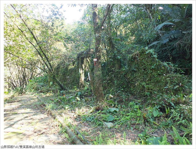 崩山坑古道 (024).JPG - 崩山坑古道