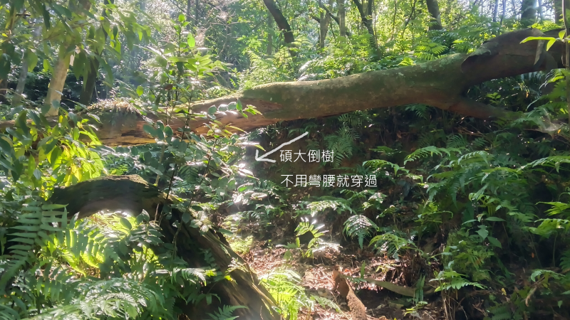 a82a61e1fd96000c58a05fe8b1552dcf.png