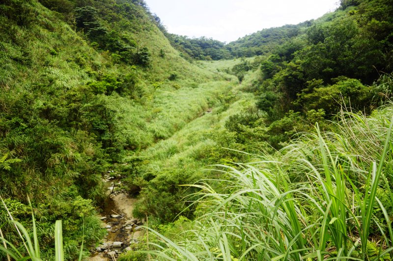 桶后越嶺古道-小礁溪山O型縱走