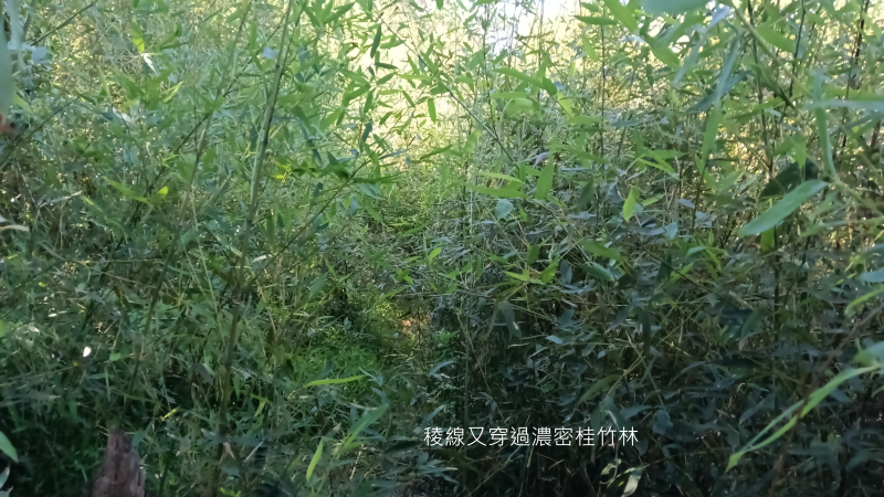 a89667df597d86103739eb067ad9cc02.png