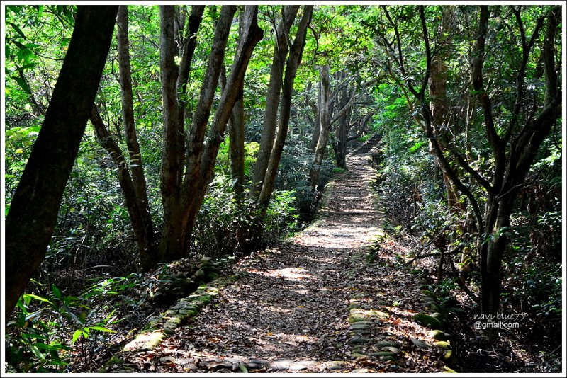 員林隴頂古道萬里長城步道 (18).JPG