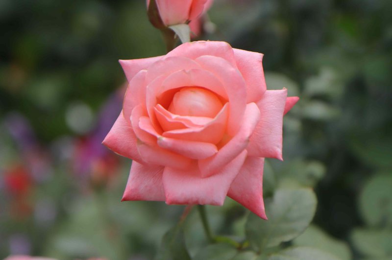 a8998eff00b8d20ec8c97fddfa149cc4.jpg
